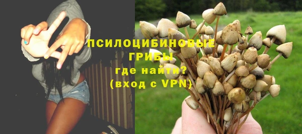 PSILOCYBIN Гусев