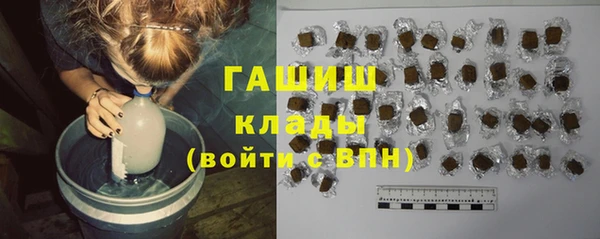 стаф Гусь-Хрустальный