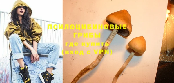 стаф Гусь-Хрустальный