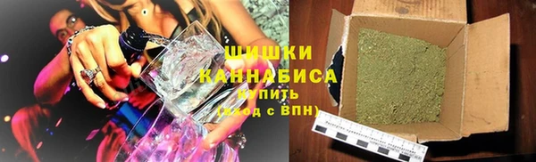 PSILOCYBIN Гусев