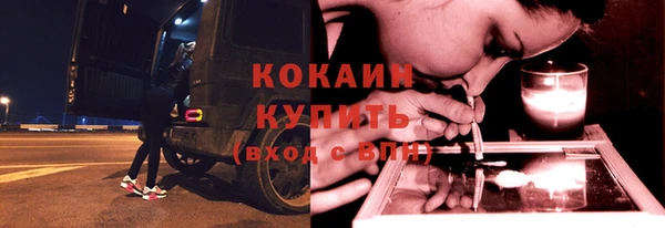 стаф Гусь-Хрустальный