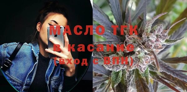 стаф Гусь-Хрустальный