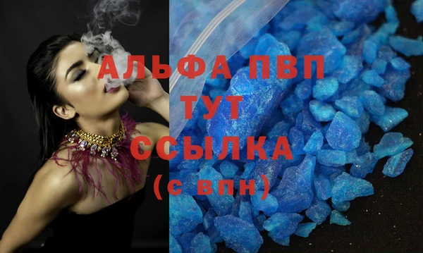 PSILOCYBIN Гусев