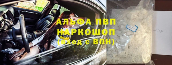 PSILOCYBIN Гусев