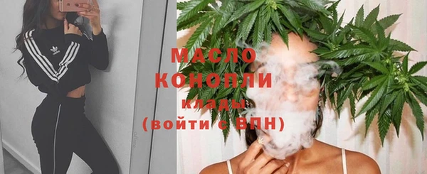 стаф Гусь-Хрустальный